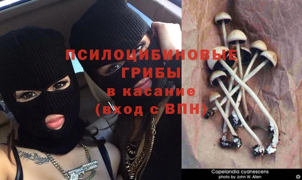 альфа пвп Осташков