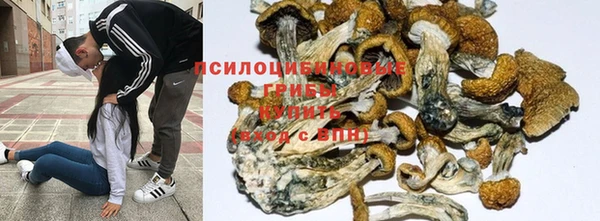 каннабис Иноземцево